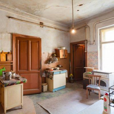 Чем защититься от плесени