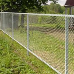 Почему забор из сетки рабицы сохраняет свою популярность почти 80 лет? 